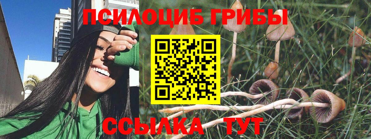 Псилоцибиновые грибы ЛСД Добрянка